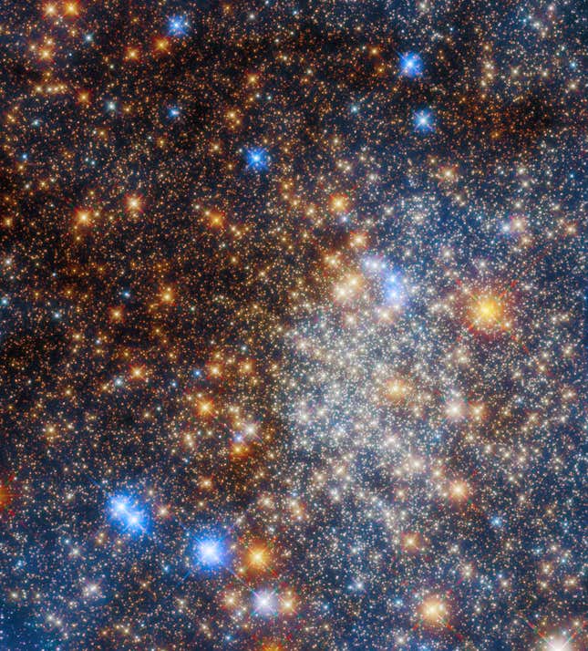 Hundreds of thousands of stars in a Hubble Space Telescope image.