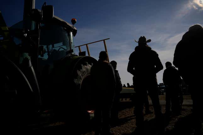 Farmers gather with their parked tractors near the highway junction, in Orte, Italy, Wednesday, Jan. 31, 2024. Farmers have been protesting in various parts of Italy and Europe against EU agriculture policies. (AP Photo/Andrew Medichini)