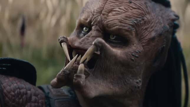 A Predator called Dek, staring up and to the left.