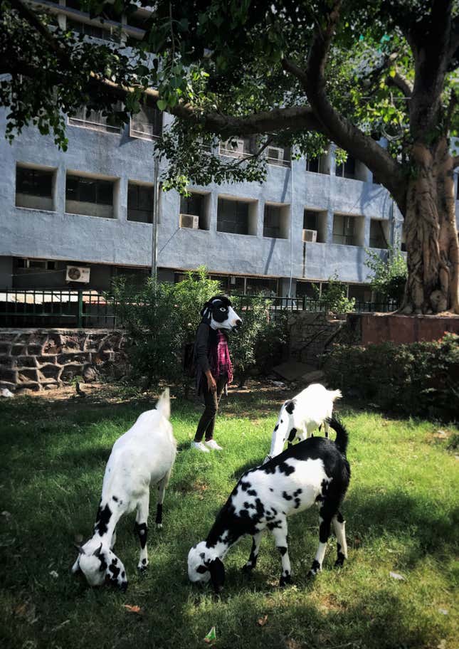 Image for article titled A striking photo project asks why India is better at protecting its cows than its women