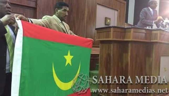 Defense minister Diallo Mamadou Bathia parades the new flag in March.