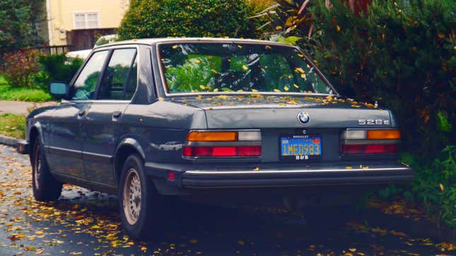 Ein Foto eines mit Blättern bedeckten Oldtimer-BMW. 