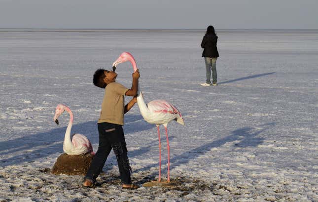 An Indian boy kisses a model of a flamingo at Bhuj, in the Rann of Kutch, a seasonal salt marsh located in the Thar Desert.