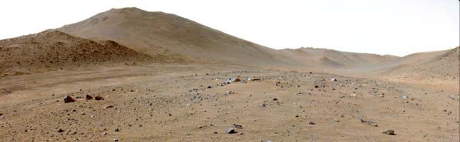 Марсоход НАСА «Настойчивость» путешествовал по древнему руслу реки Неретва-Долина, когда 6 июня он сделал этот вид Яркого Ангела — светлой области вдалеке справа — с помощью одной из своих навигационных камер.
