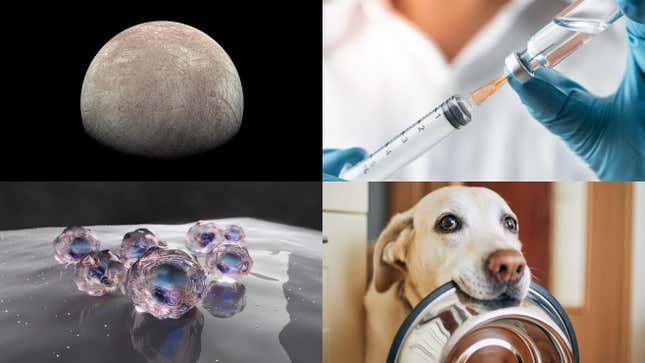 Image for article titled Weekend Science Roundup March 09, 2024