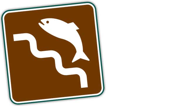 An image of a brown sign about salmon ladders. 