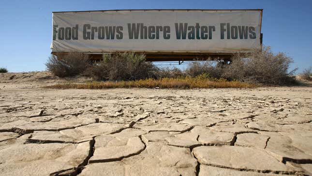 Image for article titled Solving the freshwater crisis