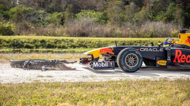 Image for article titled Watch Red Bull Driver Sergio Perez Drive To The Miami GP Circuit