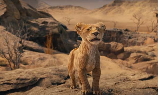 Image for article titled All We Know About Blue Ivy Carter Starring in Lion King Prequel