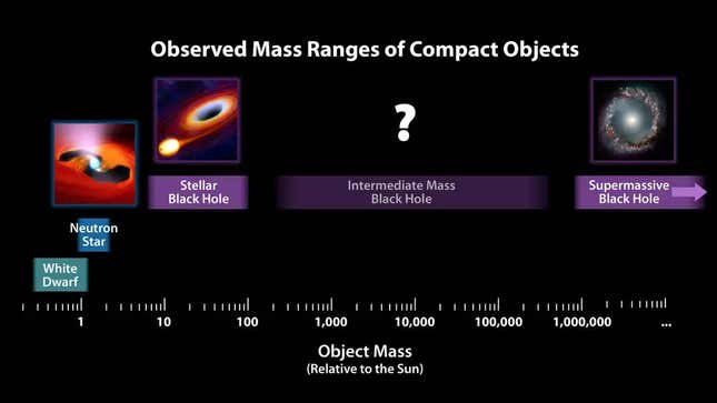 A graphic showing the relative sizes—and mass gap—among black holes.