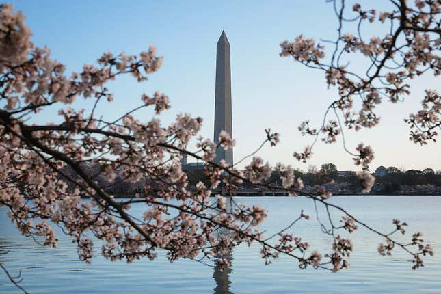 Image for article titled The 5 best big cities in America to start a business — and the 5 worst