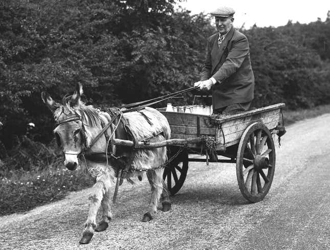 Image for article titled Documentary Introduces Eastern European Country With Solid ‘Old Man Driving Donkey Cart’ B-Roll