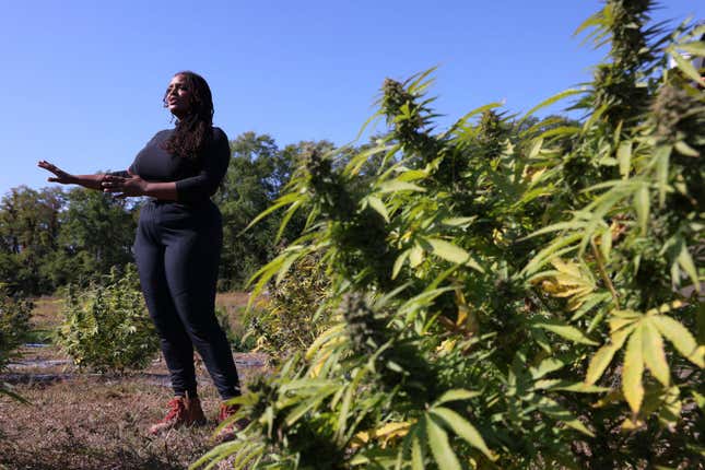 Jasmine Burems, co-owner of Claudine Field Apothecary farms, speaks as she gives a tour of her farm on October 07, 2022, in Columbia County, New York. NYS Office of Cannabis Management (OCM) made its final stop in its Harvest Tour at Claudine Field Apothecary farms, a Columbia County farm, whose farmers received a Conditional Cultivation license and are one of the first Black farmers in the legal adult-use cannabis industry. The OCM was created following the passing of the Marijuana Regulation and Taxation Act in March 2021. 