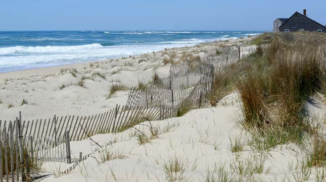 Lifestyle A 2020 photo of Madaket Beach, one of the beaches closed by wind turbine debris