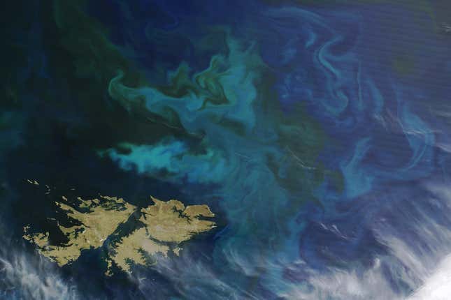 Image for article titled The surreal swirls of ocean plankton blooms, seen from space