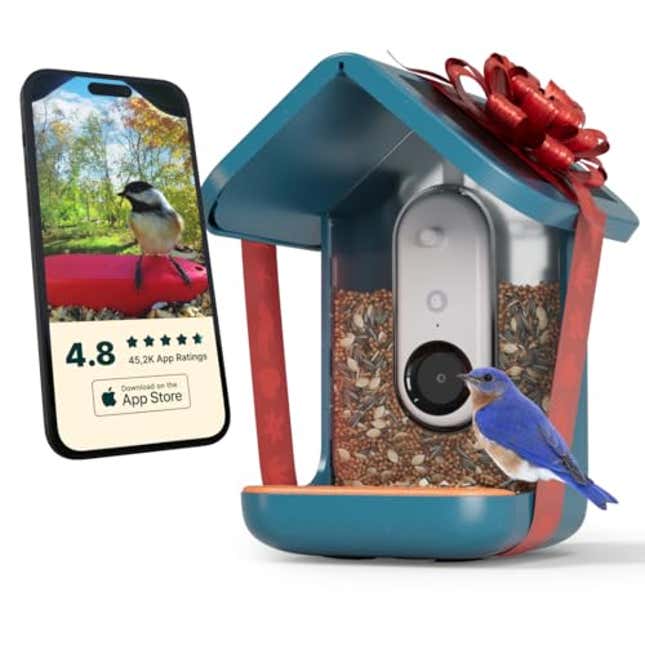 Image for article titled BIRD BUDDY® Original Solar Bird Feeder with Camera, Now 17% Off