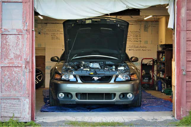 Image for article titled Mustang Enthusiast Buys Mint-Condition 2003 Ford Mustang Cobra 'Terminator' With Only 534 Miles