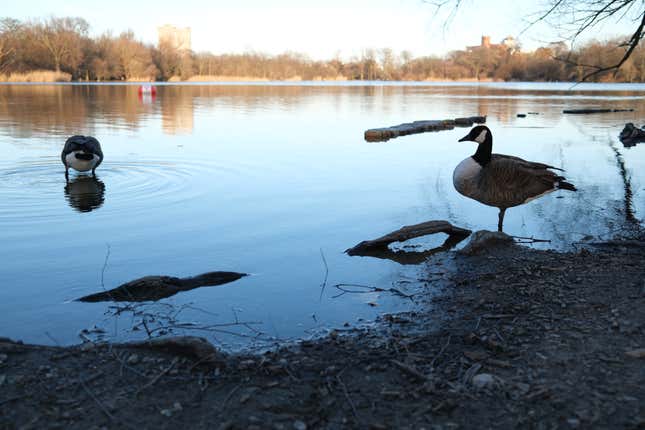 Image for article titled The Fujifilm X100VI Resurrected My Love for Photography