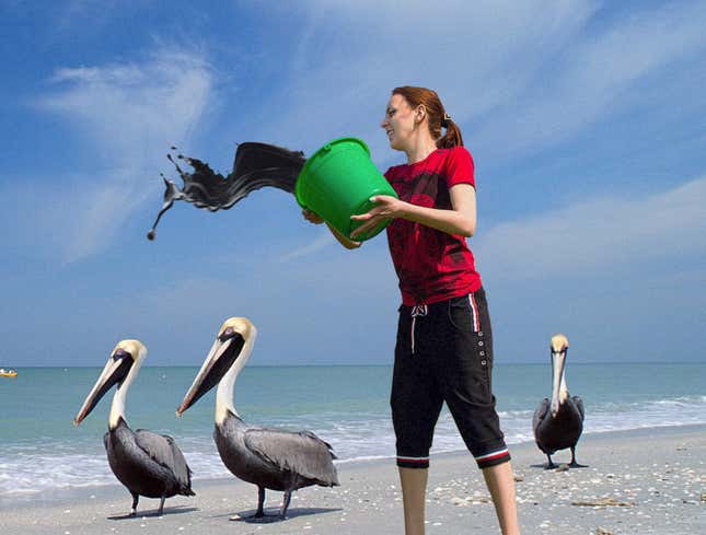 Image for article titled World Hunger Activists Throw Oil On Pelican To Protest Climate Activists Wasting Soup