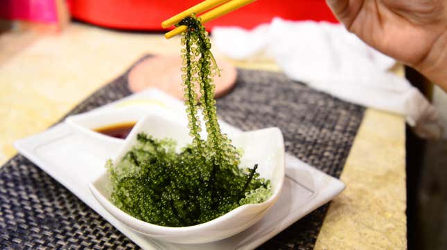 Image for article titled You Can Eat These Vegetables From Under the Sea