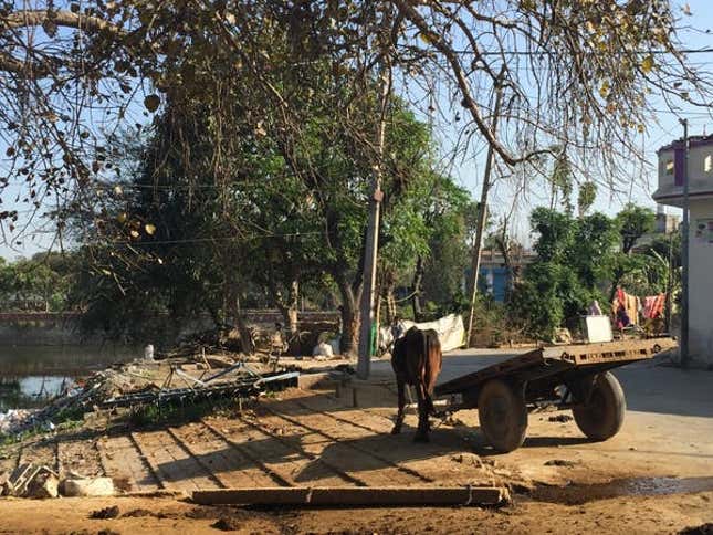 A village near Thanesar in Kurukshetra, Haryana where I met one of the women I spoke to.