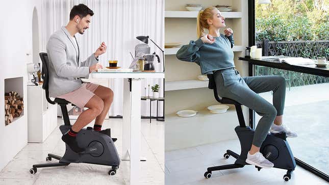 Flexispot Desk Bike | $315 | Amazon