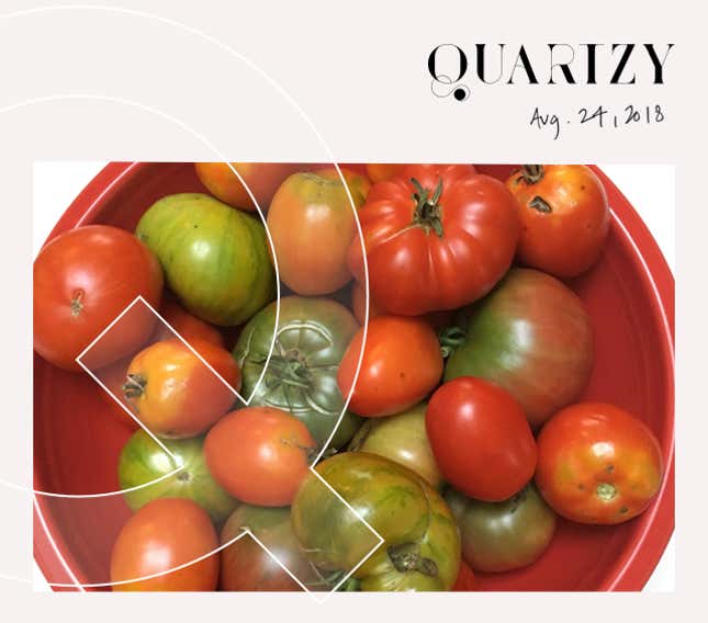 Image for article titled Quartzy: the August vs. autumn edition