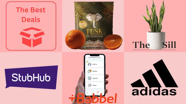 Image for article titled Best Deals of the Day: Stub Hub, Adidas, The Sill, Babbel, Tusk &amp; More