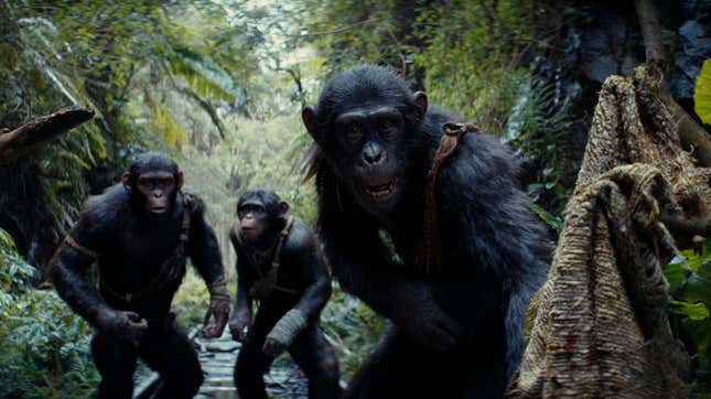Image for article titled The Incredible Way Weta Created Kingdom of the Planet of the Apes' Spoilery Opening