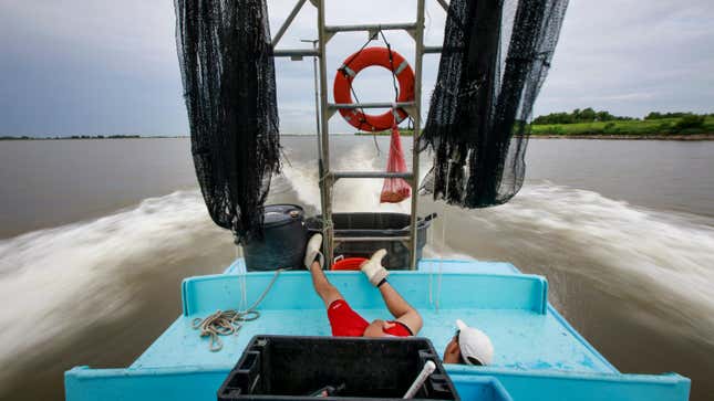 Un camaronero se relaja frente a la costa de la parroquia de Plaquemines, Luisiana