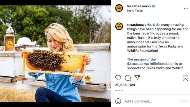Image for article titled The Emerging Beef Between the Texas Bee Lady and the Beekeeping Critic Who Argues She's an Influencer Hoax