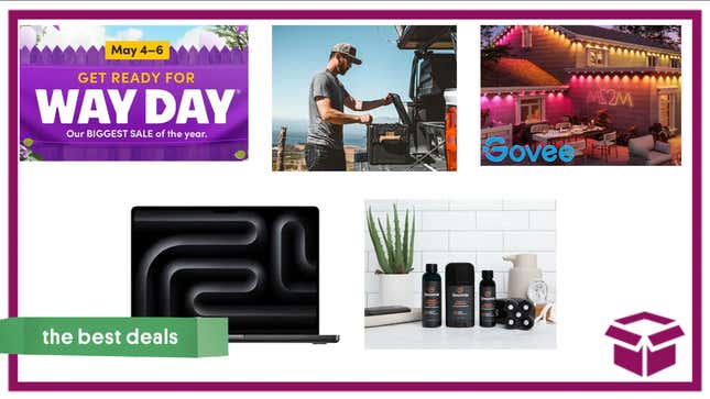 Image for article titled Best Deals of the Day: Best Buy, Way Day, Govee, Radius Outfitters, BaldiePro &amp; More