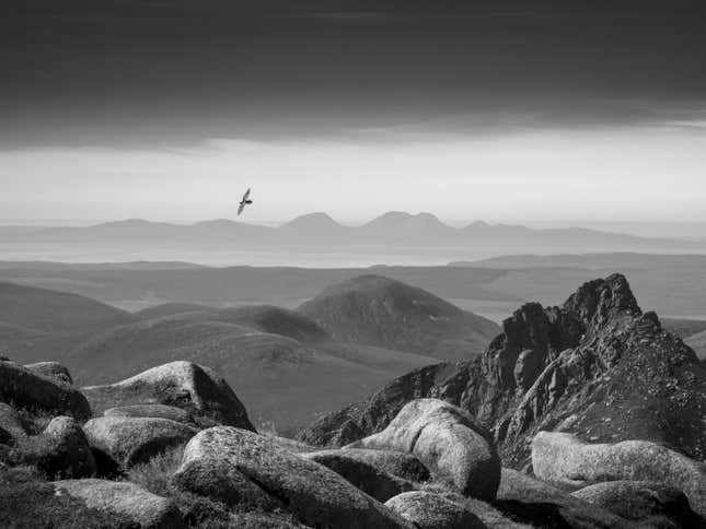 A raven flies over hills on the Isle of Arran.