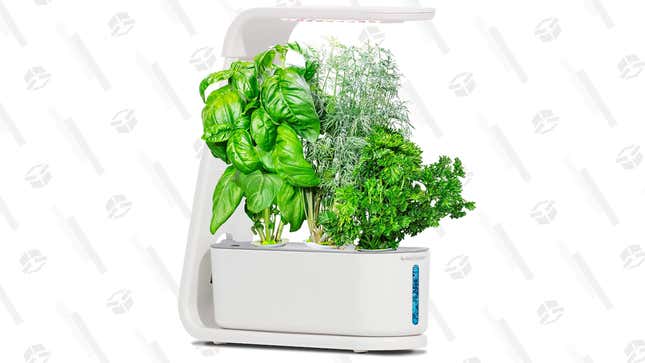 AeroGarden Sprout | $54 | Amazon