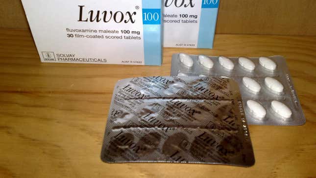 A blister package of fluvoxamine, commonly sold under the brand name Luvox. 