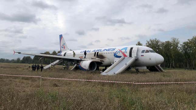 Polizeibeamte inspizieren ein Passagierflugzeug vom Typ Airbus A320 der Ural Airlines nach seiner Notlandung auf einem Feld in der Nähe des Dorfes Kamenka in der Region Nowosibirsk.