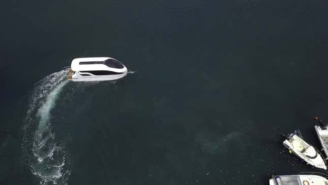 A photo of a Sealvan floating on a lake. 