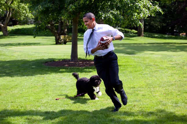 U.S. President Barack Obama plays football with the family dog Bo on the South Lawn of the White House May 12, 2009 in Washington, DC.