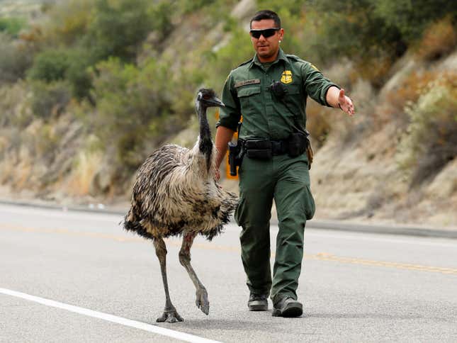 “Sir, please stay on the sidewalk.” (Reuters/Mike Blake)