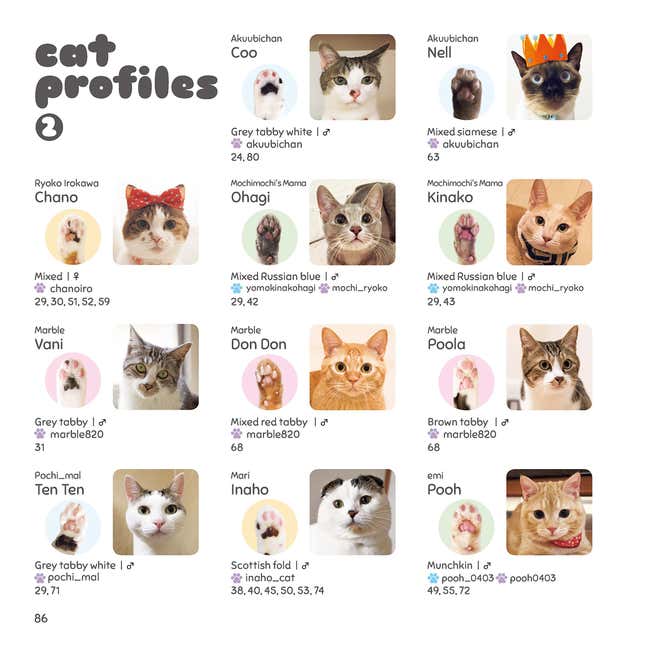 Famous paws.