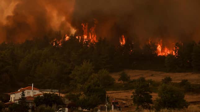Flames rise from a forest in the village of Kyrynthos, Greece, on August 6, 2021.