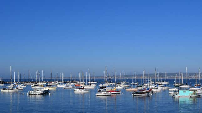 A photo of sailing boats floating in a harbor. 