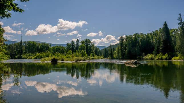 A photo of a river in Washington State. 