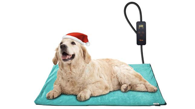 Image for article titled Great Gifts For Pet-Obsessed People