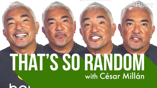 The Dog Whisperer, César Millán, Plays <i>That's So Random</i>