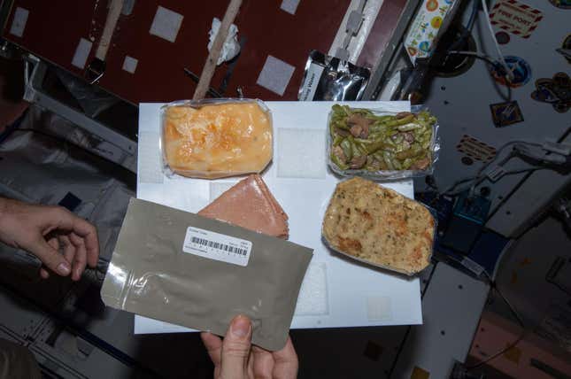Image for article titled Space Turkey