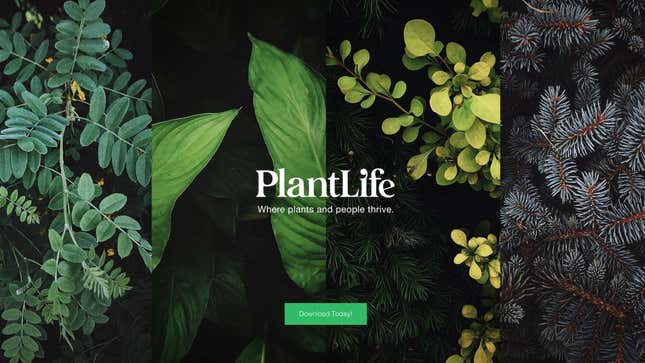 Image for article titled PlantLife Is the Purest Social Platform I&#39;ve Ever Tried