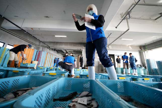 Iolanda Osvath, research scientist, a member of experts from the International Atomic Energy Agency (IAEA) observes the inshore fish during a morning auction at Hisanohama Port in Iwaki, northeastern Japan Thursday, Oct. 19, 2023. They are visiting Fukushima for its first marine sampling mission since the Fukushima Daiichi nuclear power plant started releasing the treated radioactive wastewater into the sea. (AP Photo/Eugene Hoshiko, Pool)