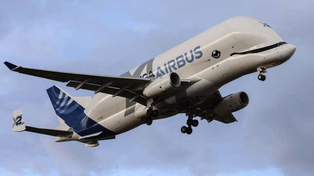 A photo of an Airbus Beluga XL cargo plane.