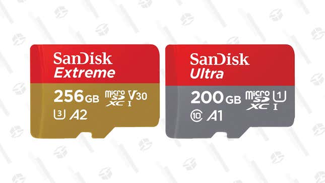 SanDisk 200GB Ultra MicroSDXC | $24 | Amazon
SanDisk 256GB Extreme microSDXC | $31 | Amazon